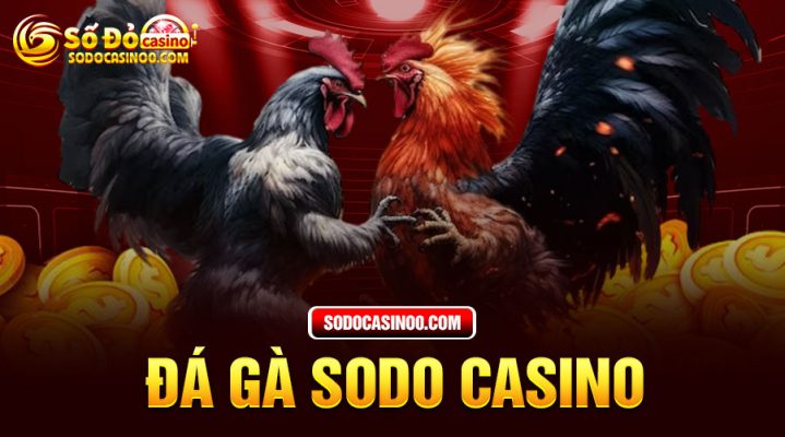 Đá gà SODO Casino